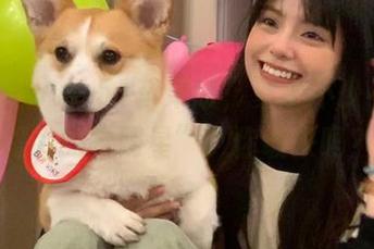 www..51苹果版，聚了不少不愿意露脸的“明星”，你敢来吗？