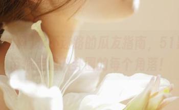 永不迷路的瓜友指南，51黑料带你走遍八卦圈的每个角落！