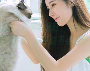 网页也疯狂，heiliao.su黑料不打烊，你还敢不点开吗？