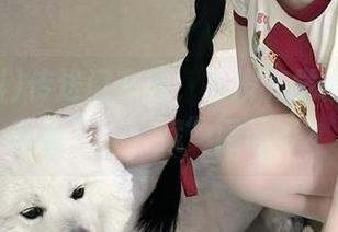 传送门在此，有没有觉得黑网料真是个“宝藏”网站呀？